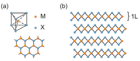 Figure 1: Crystal structure of MX2 based transition metal dichalcogenides.