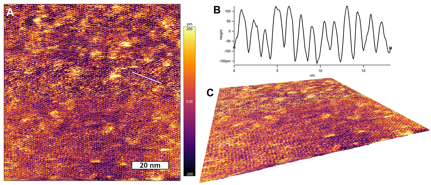 Low-amplitude tapping mode molecular lattice resolution of CoOEP