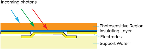 Typical back-illuminated CCD (cross section)