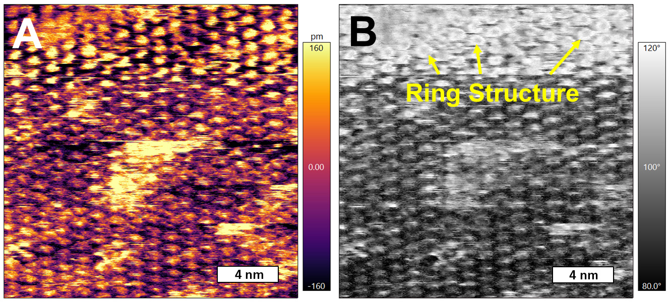 Zoomed in tapping mode AFM images of the CoOEP lattice