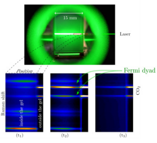 Figure 3: Raman spectral images acquired at three different times