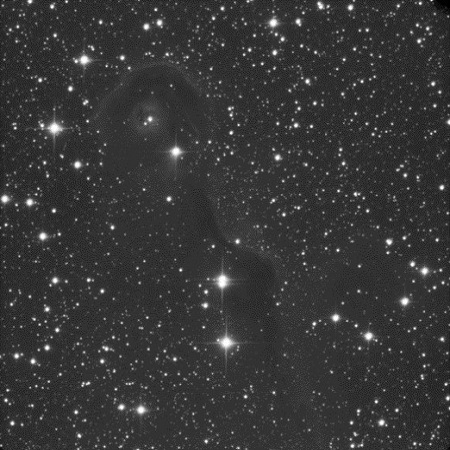 IC 396 captured without filters at 3 minutes of exposure time.