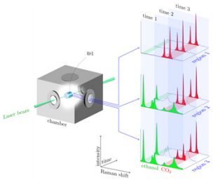 Figure 4: Illustration of the evolution of the measured Raman spectra.