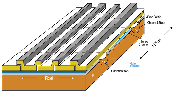 Pixel architecture of a buried channel 3-phase
