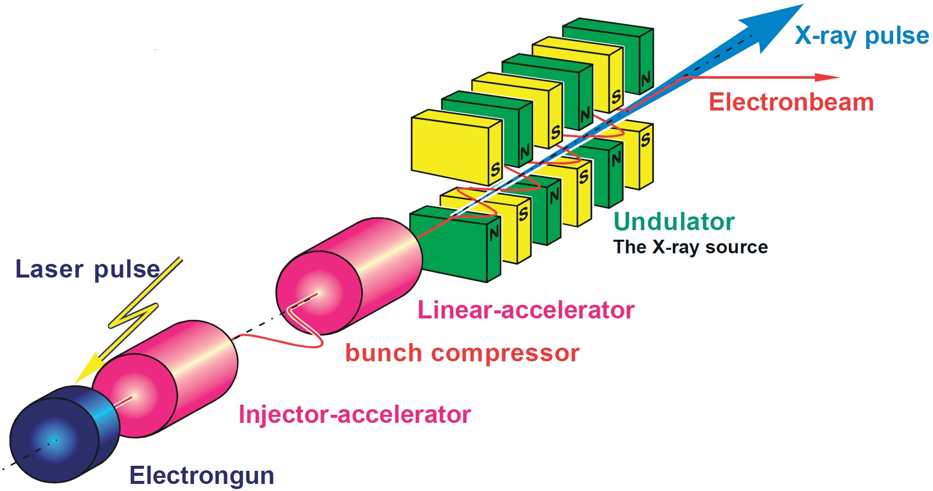 Schematic of the FEL principle