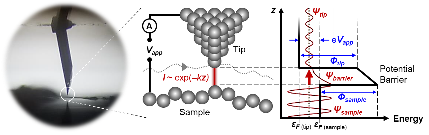 Description of how Scanning Tunneling Microscopy (STM) works