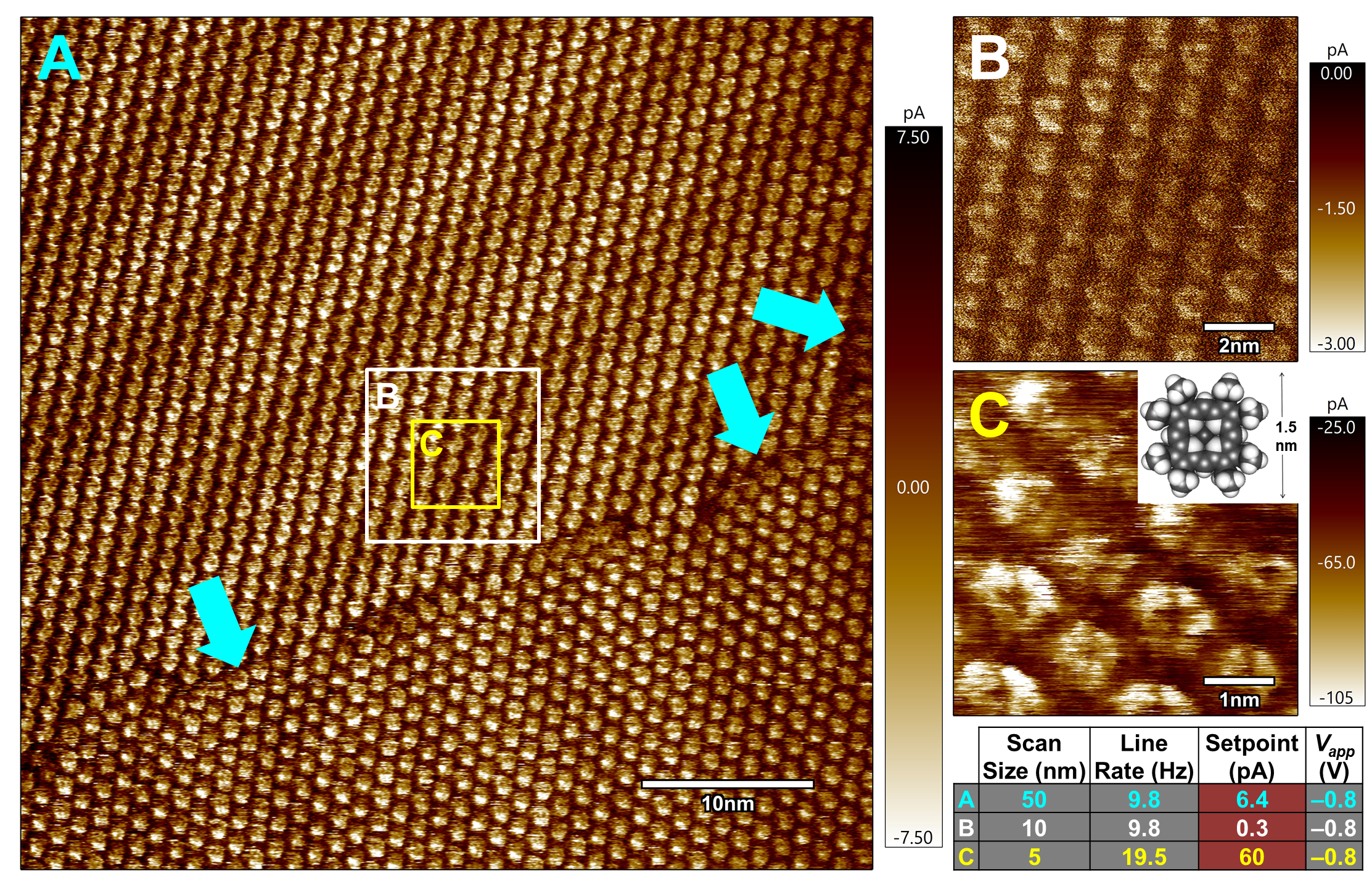 Molecular resolution STM images of NiOEP on HOPG