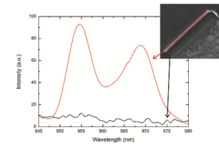 Fig. 3. Intensity plotted against the wavelength. The emission wavelength of a 4 nm InGaAs quantum well (red curve) has two peaks (955 nm and 968 nm). The black curve shows a reference measurement of the area next to the tube.