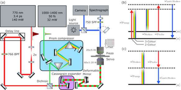 Optical system diagram of the BCARS microscope.