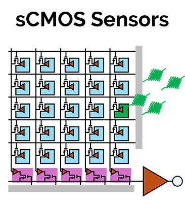 Figure 1b. Sensor Diagrams