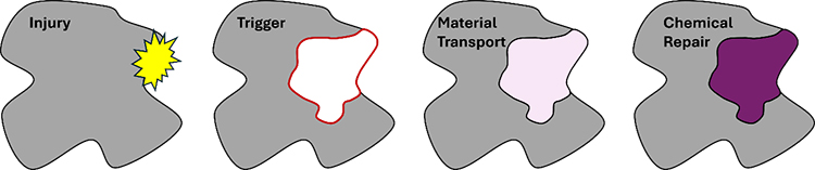Illustration of the general process behind self-healing materials.