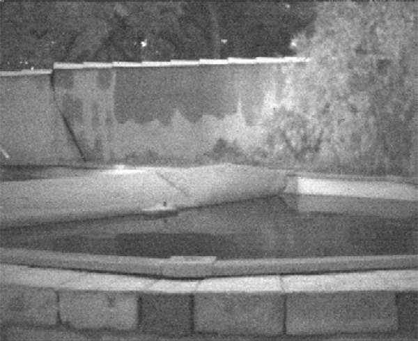 Night vision at infrared wavelengths.