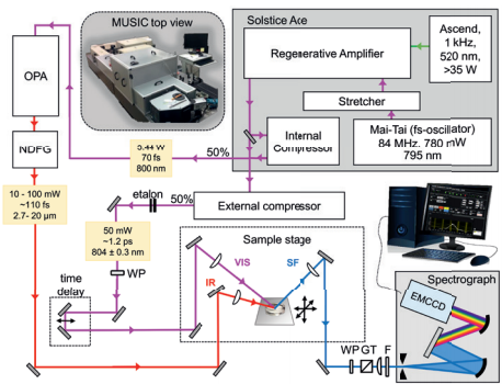 Figure 1 Schematic overview of MUSIC - Münster Ultra-fast Spectrometer for Interfacial Chemistry. Inset: Photograph of MUSIC showing a top view with the Andor Newton EMCCD detector and Kymera spectrograph in the front. Boxes are used to reduce stray light and to purge the IR beam path with dry air. Key: IR: broadband infrared pulse, VIS: narrowband visible pulse, SF: sum-frequency pulse generated, WP: retarders, GT: Glan-Taylor polarizer, F: short-pass filter, EMCCD: electron multiplying charge-coupled device.1