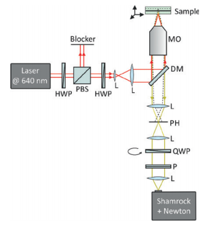 Figure 1: Setup of the Raman microspectroscope. The excitation laser passes a power control consisting of a half-wave plate (HWP) and polarizing beam splitter (PBS), is adjusted in its polarization with another HWP, expanded with a set of lenses (L), and reflected by a dichroic (DS) mirror through the microscope objective (MO) into the sample. The Raman scattered light is collected in backwards direction with the MO, transmitted through the DM, and passes a confocal setup consisting of two lenses (L) and a pinhole (PH). It is then sent through a polarization detection setup with quarter-wave plate (QWP) and polarizer (P) and focused by another lens (L) into the spectrometer.