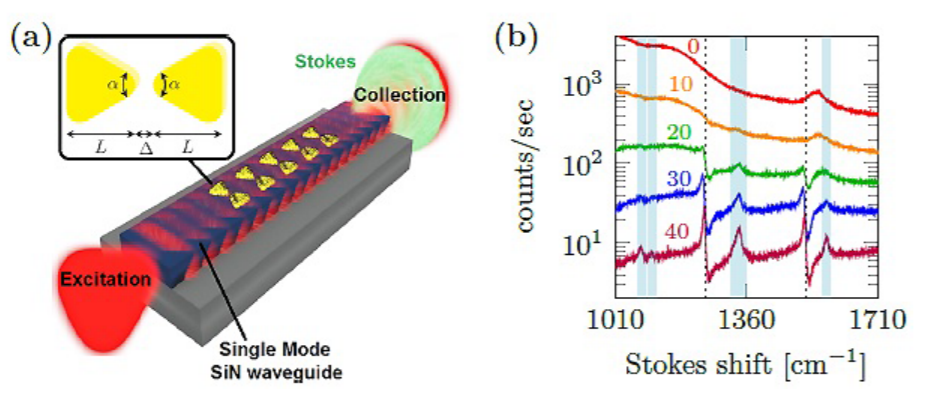 Figure 1: (a) Schematic of the device: single mode silicon nitride (SiN) waveguide patterned with an array of nanoplasmonic bowtie antennas. (b) SERS spectra of waveguides coated with a different number N of antennas (10, 20, 30, 40), N=0 is a reference waveguide without antennas.