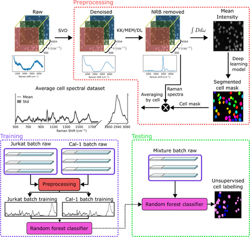 Flowchart of the experimental and data analysis pipeline.