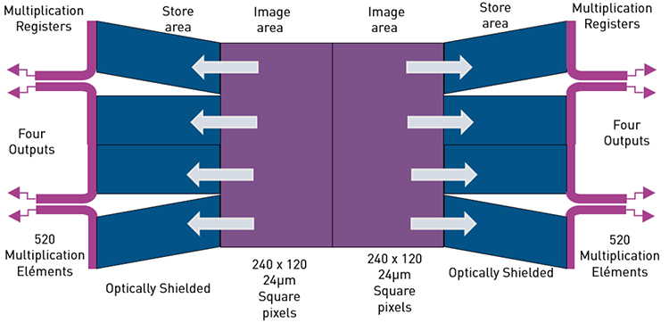 Illustration of the structure of the CCD220 sensor installed in the OCAM EMCCD camera.