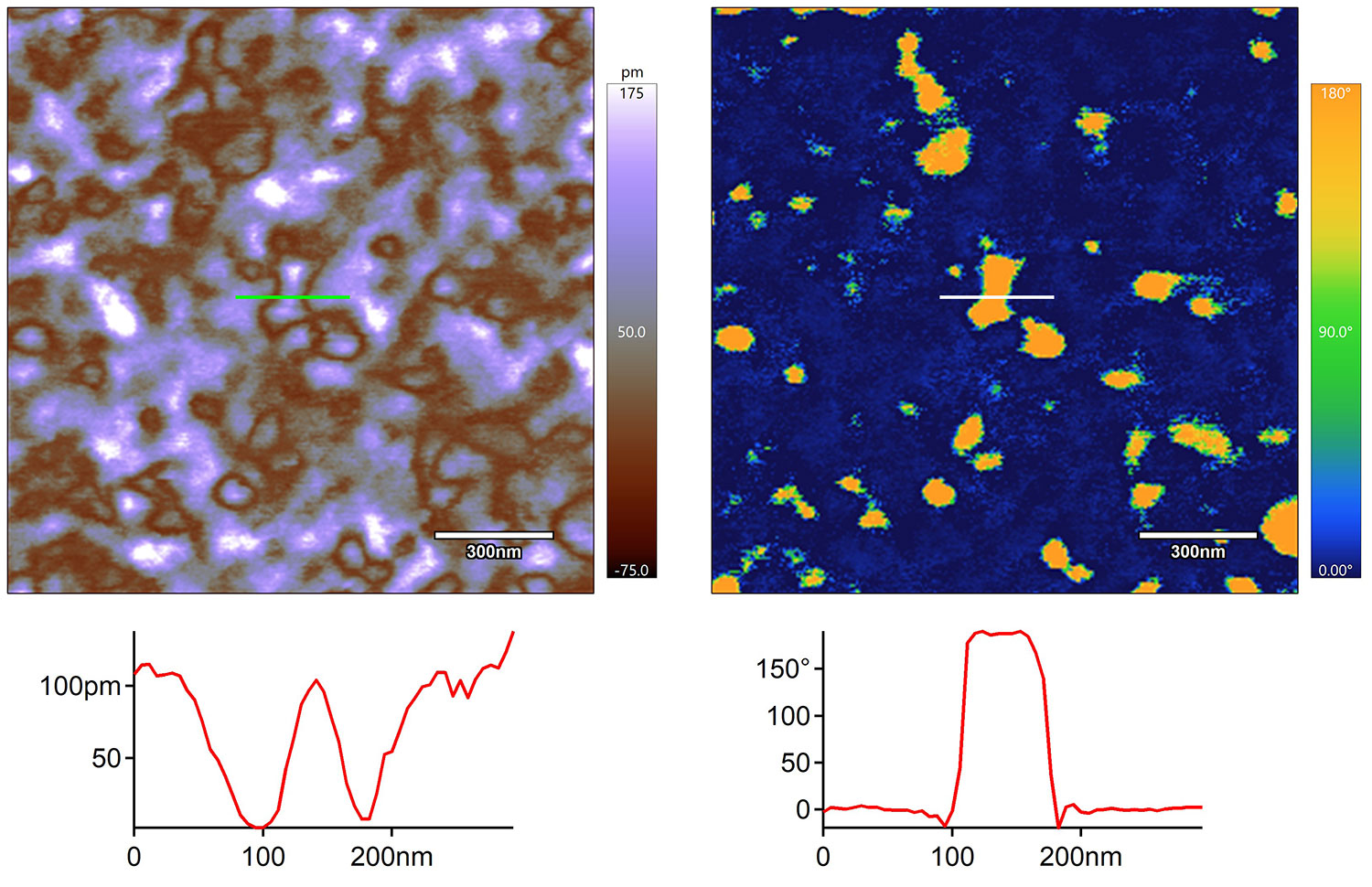 DART PFM images of a Hafnium Oxide thin film taken with an Asylum Research atomic force micrscope (AFM)