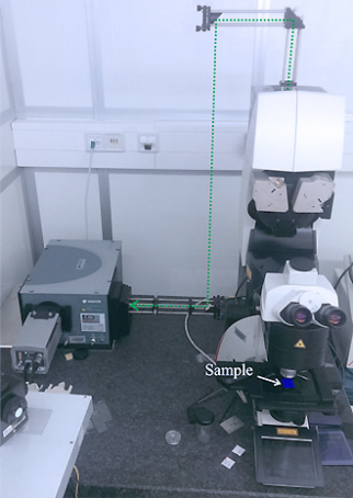 Fig. 2. The microtubes are excited via a green laser coming from the confocal microscope. The reflected beam is guided into the spectrometer where the emission spectrum of the microtube is detected.