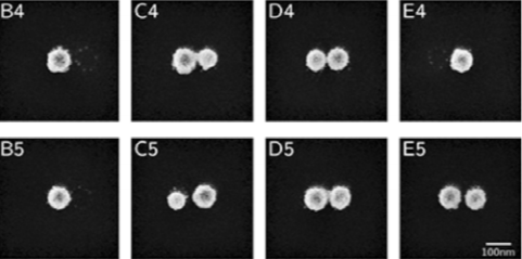 Figure 2: SEM images of different nanostructures that were fabricated as part of a 5x5 array. 