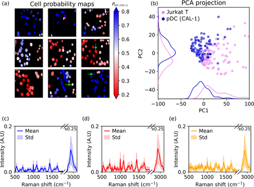 Representative HSI of a Jurkat T-cell with segmentation masks.
