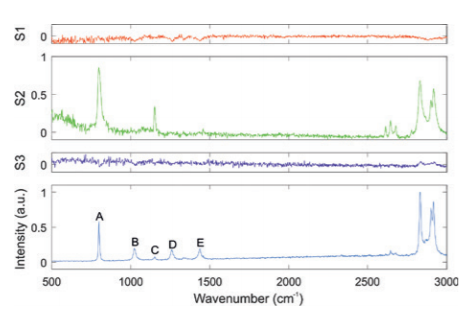 Figure 3: Stokes parameters S1, S2, and S3 in comparison to the spectrum of cyclohexane. The vertical scale is equal for the three upper diagrams.