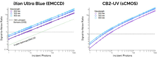 UV optimized EMCCD and SCMOS camera sensitivity