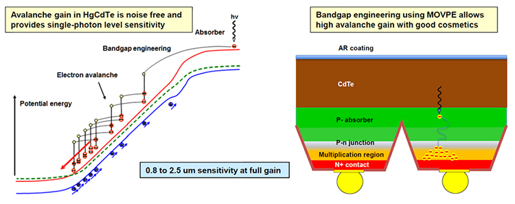 MOVPE design and device schematic for an MCT e-APD sensor (courtesy of Leonardo).