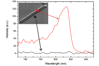 Fig.4. Intensity plotted against the wavelength. The emission curve of a transferred microtube on a glass/PDMS substrate with GaAs QW embedded in the tubes wall shows a characteristic peak at 814 nm (red curve, in comparison the glass/PDMS substrate shows no increase in this specific wavelength region (black curve). 