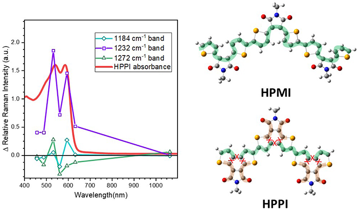 The resonance Raman excitation profile for HPPI.