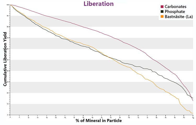 Figure 9 - Liberation Curves