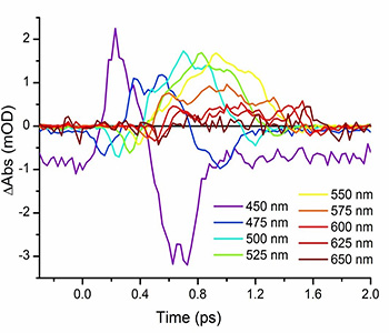 Coherent artefacts in buffer solution in cryostat.