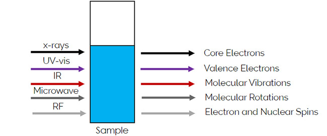 Figure 2:  The different types of transitions in excited molecules based on the type of light used. 