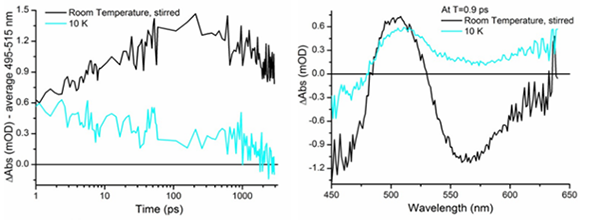 Figure 4. Transient absorption data of FAD after excitation at 375 nm