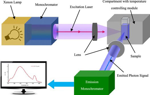 Figure 6:  Schematic diagram of a fluorescence spectrometer. 