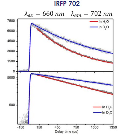 Figure 9:  Time-dependent fluorescence spectra of iRFP 702 exited at 660 nm and detected at 702 nm in H2O (red) and D2O showing the kinetic isotope effect.  The bottom trace is the same decay curve but on a logarithmic scale intensity.