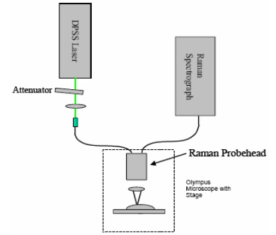 A schematic of the setup used for the NIR Raman experiments conducted using the Compact Echelle design from Andor Technology