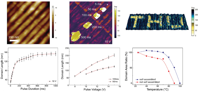 Topography and PFM phase images of copolymer film with reversal domains; PFM phase image of FeRAM application; graphs of domain length versus pulse duration and amplitude; plot of domain area versus temperature.