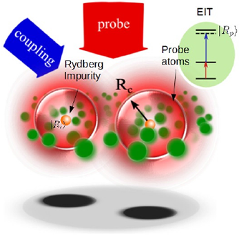 Observing the dynamics of a many-body quantum system- Oxford Instruments