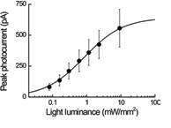 Power density, PD in the specimen plane is estimated from the ratio of beam power and area