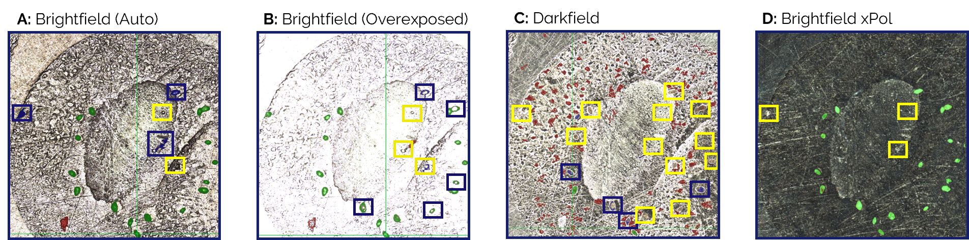 Illumination comparison using the 10x objective on indium-mounted zircons