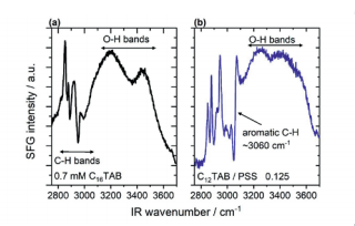 Figure 2 Vibrational SFG spectra of surfactant modified air-water interfaces from aqueous solutions with (a) 0.7 mM cetyltrimethyl ammonium bromide (C16TAB) and (b) dodecyltrimethylammonium bromide (C12TAB) mixtures with sodium polystyrene sulfonate (PSS) at a molar mixing ratio of 0.125 with respect to the monomer concentration of PSS: