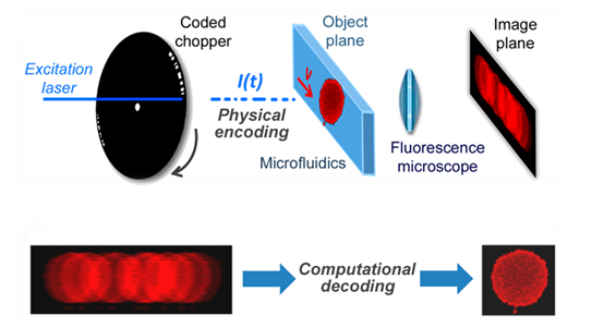 Coded excitation fluorescence microscope