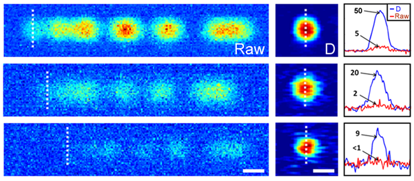 https://www.oxinst.com/learning/uploads/inline-images/imagingcells-fig02-20171121120413.png