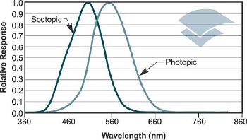 Taking an average of the measurements results in the so called Photopic response of the perceived ‘average’ human observer is shown in this graph