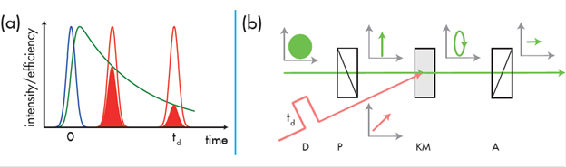 Principle of a pump-gate/probe experiment and principle of an optical Kerr gate