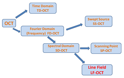 The main variants of the OCT imaging technique