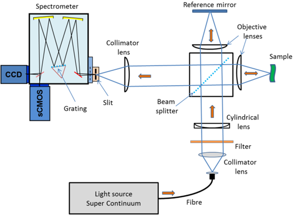 Schematic of experimental arrangement