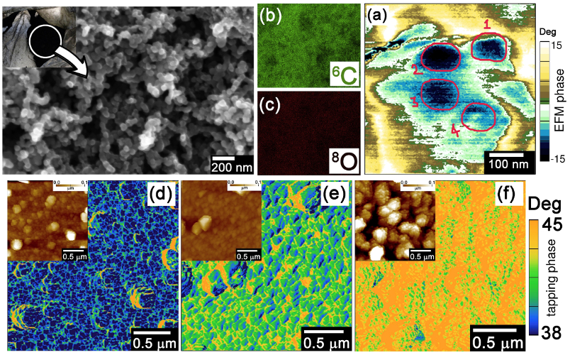 (top) FE-SEM and EDS images of WC, EFM image of Pa/WC composite; (bottom) tapping mode phase images of Pa/WC composites (insets show corresponding topography images).