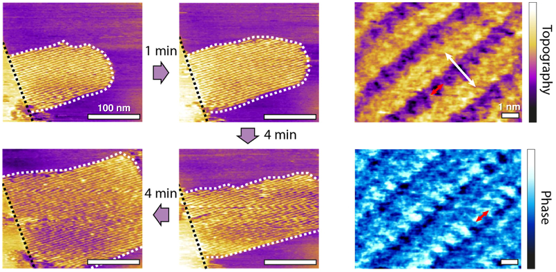 (left) Topography images of evolving methanol−water interfacial structures over 9 minutes; (right) high-resolution topography and tapping-mode phase images.